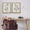 Stupell Industries Blue Botanical Herbs 2pc Floating Frame Set Design by Susan Jill